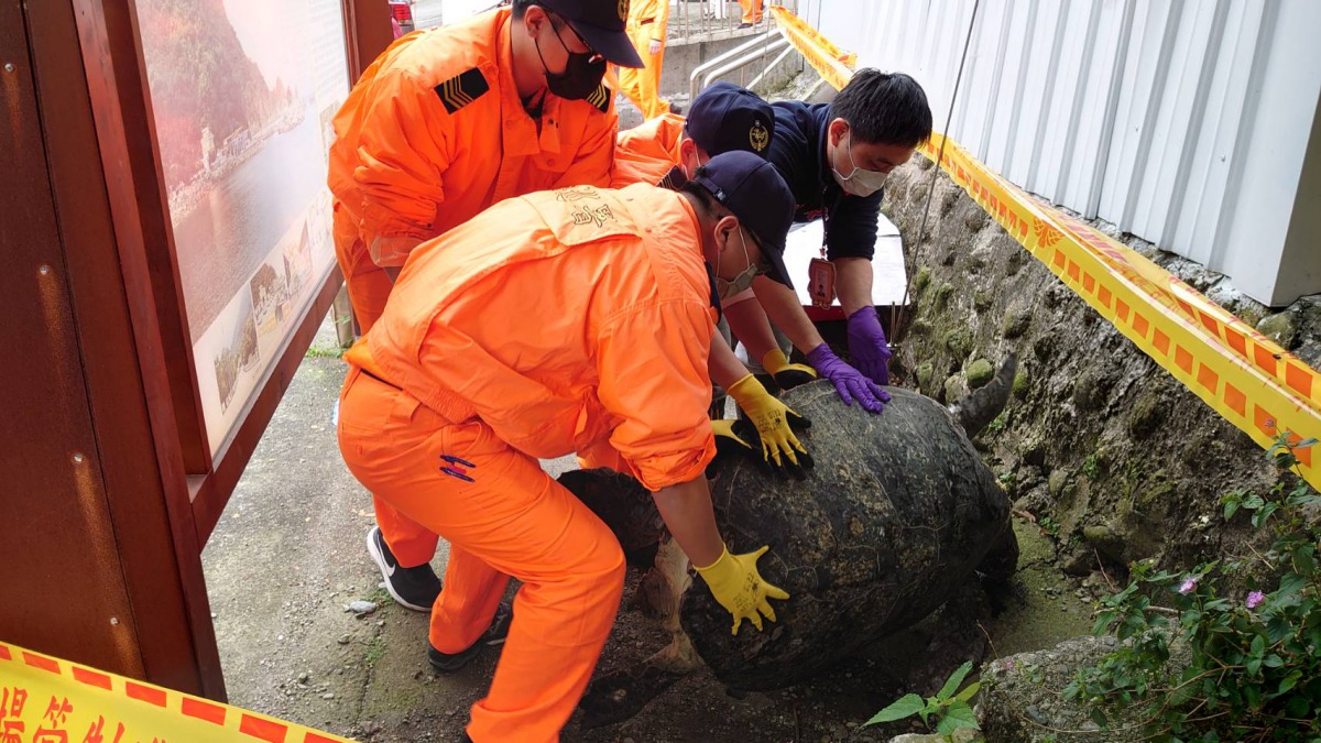 2月1日被民眾發現的死亡海龜。第一岸巡隊/提供