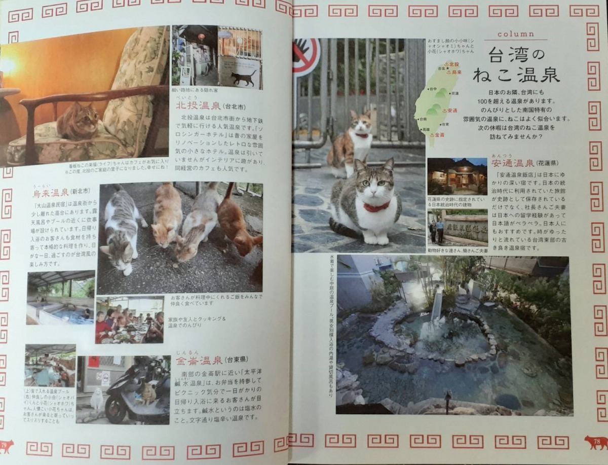 西村理惠女士介紹台灣溫泉同時結合當地的貓咪。 新北市動保處/提供