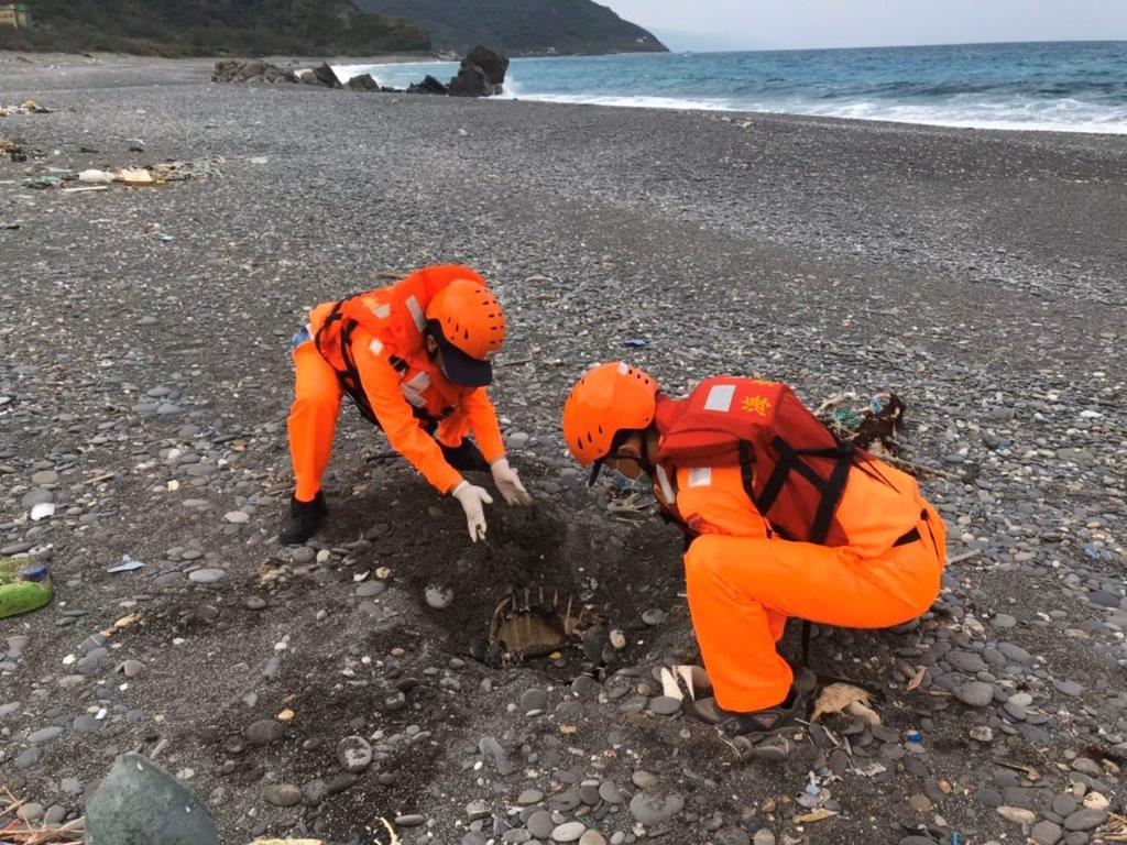 腐爛和只剩骨架的海龜已不具研究價值,由岸巡人員於發現地進行掩埋。第六岸巡隊/提供