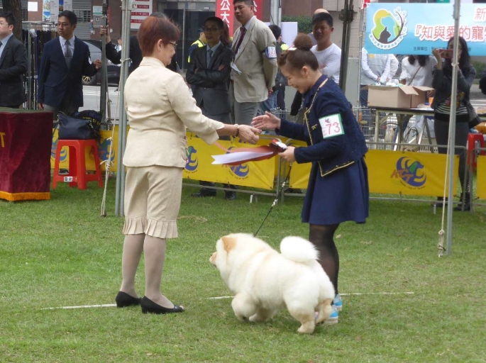 由國際級的專業評審來擔任比賽的裁判。 新竹動保所/提供