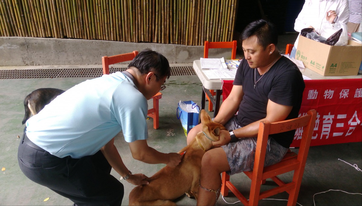 除了幫犬貓絕育之外,定期施打狂犬病疫苗也相當重要。 高雄市動保處/提供