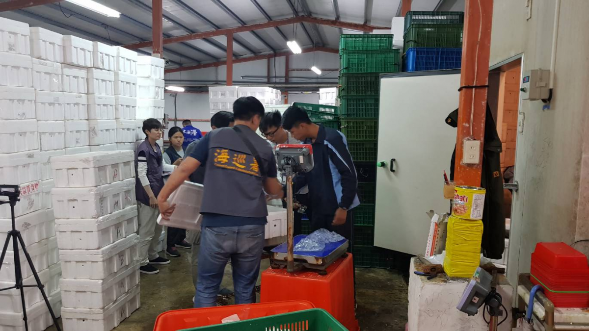 海巡署、食藥署、衛生局聯合稽查檢驗大閘蟹。 海巡署/提供