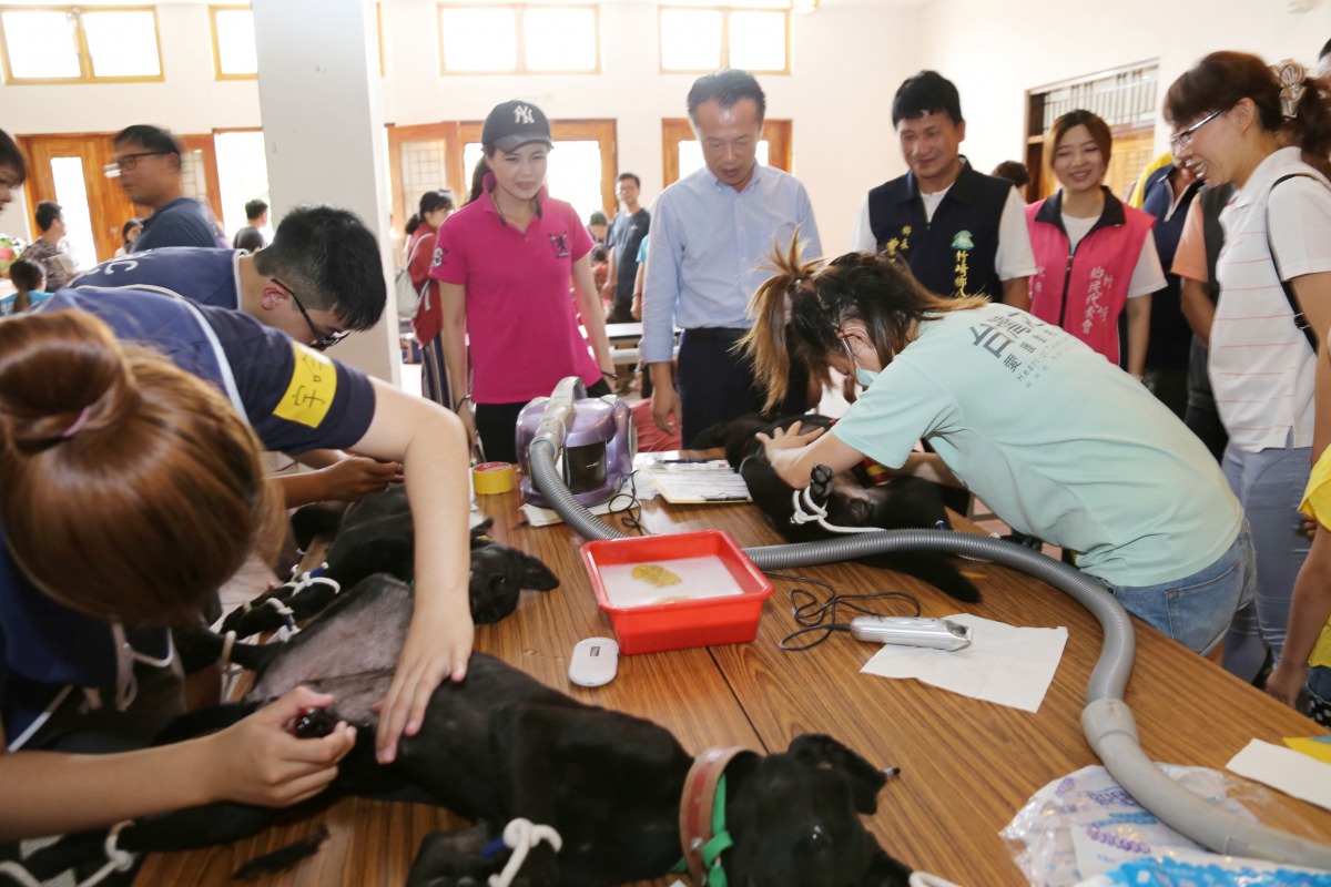 嘉義縣政府與動保團體去年一共舉辦上百場犬貓絕育活動,大幅提升絕育量。 嘉義縣政府/提供