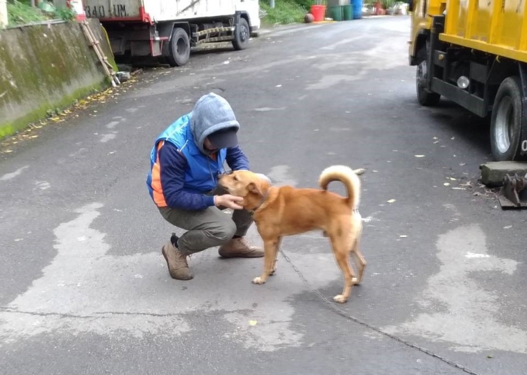 「阿魯米」在來到清潔隊之後個性與之前截然不同。 新北市動保處/提供