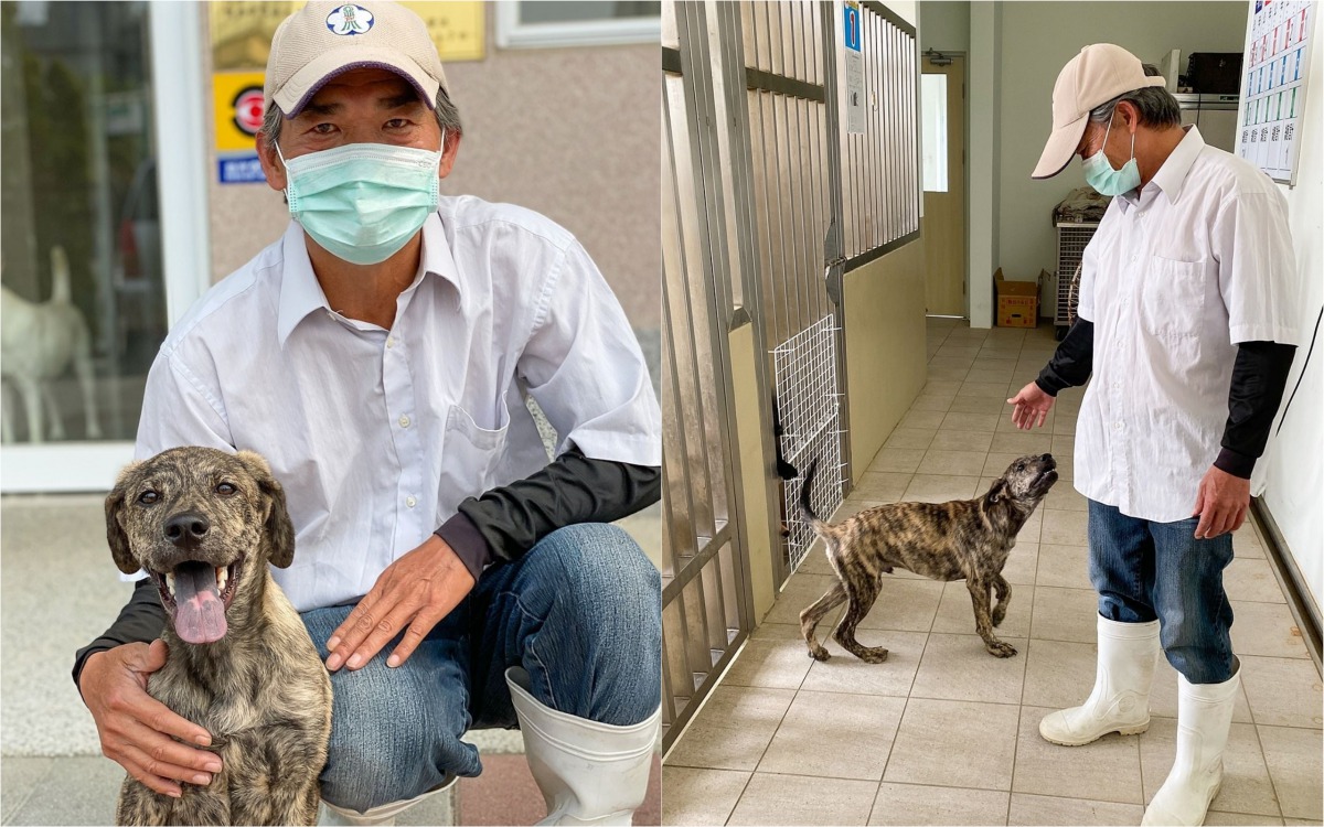 陳政興獸醫每天都抽空幫「Hito」復健。 嘉義市建設處/提供