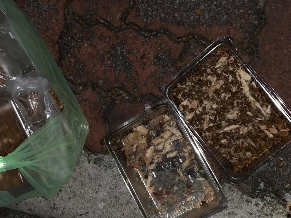 餵養人未收拾的餵食器具。 王小姐/提供