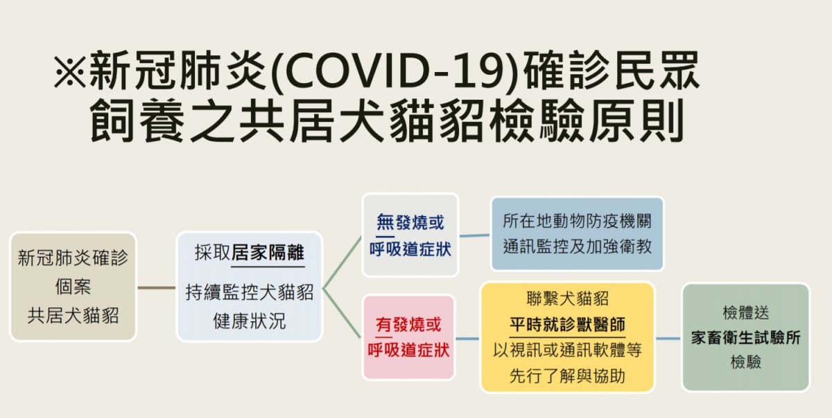 飼主若確診新冠肺炎，飼養的犬貓貂將依規定辦理照護。 農委會/提供