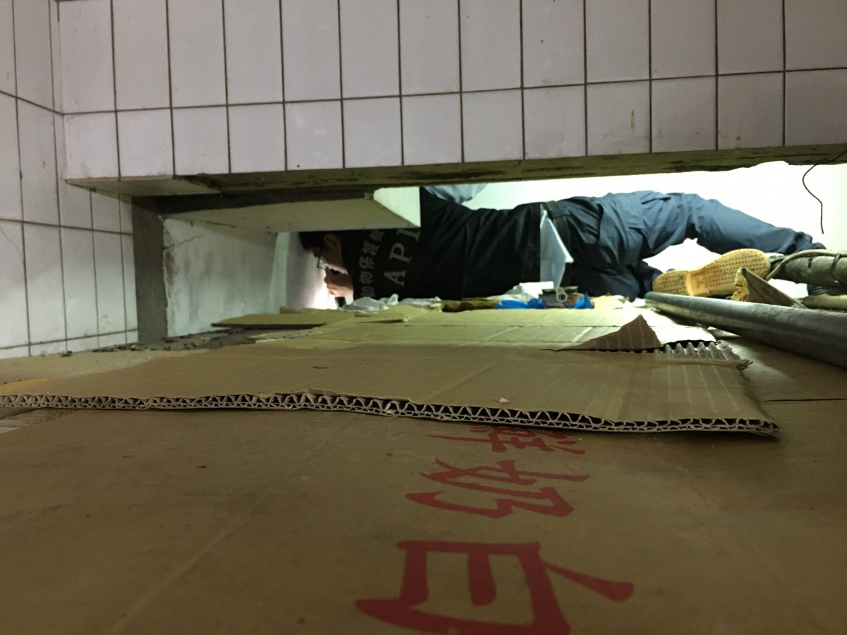 救援人員以匍匐前進的方式撈出受困牆縫的小貓。 台北市動保處/提供