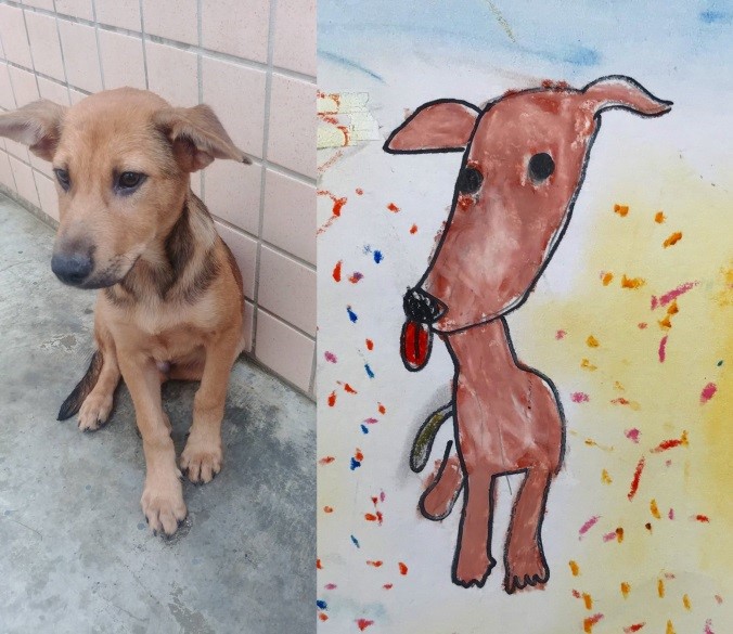 小朋友所畫的犬隻最後都順利找到溫暖的家。 新北市動保處/提供