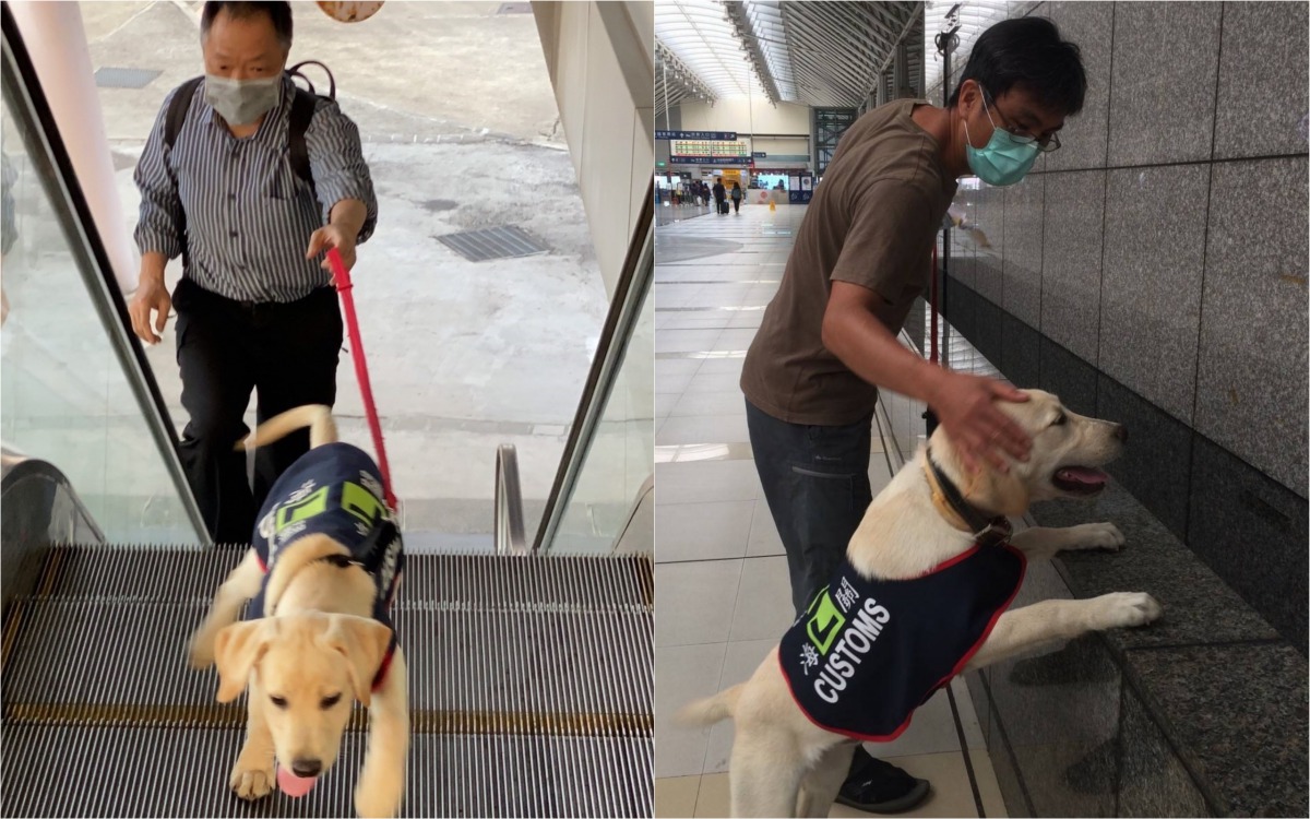 寄養家庭帶著緝毒犬到車站進行社會化訓練。 關務署/提供