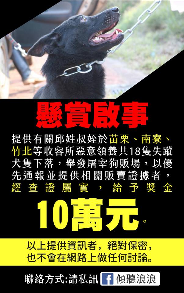 為找回失蹤的狗狗，志工主動發起懸賞。 丸子/提供