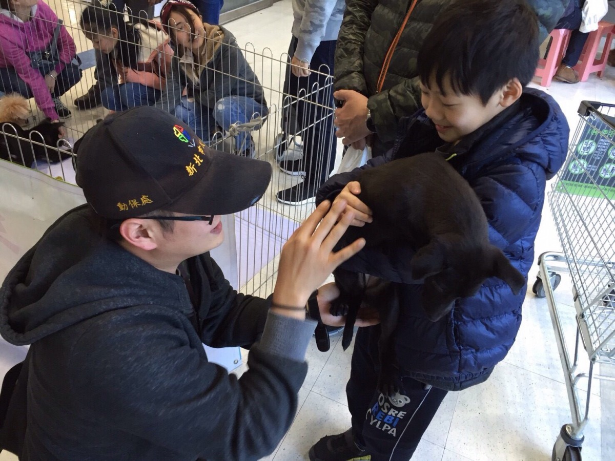 動保員在認養活動上教小朋友如何跟毛寶貝互動。 新北市動保處/提供