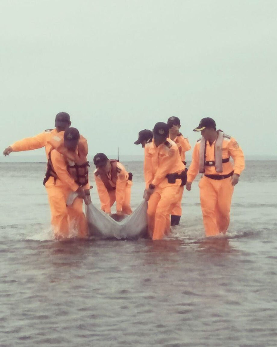 7名岸巡隊員合力才能夠將落難的綠蠵龜救上岸。第七岸巡隊/提供