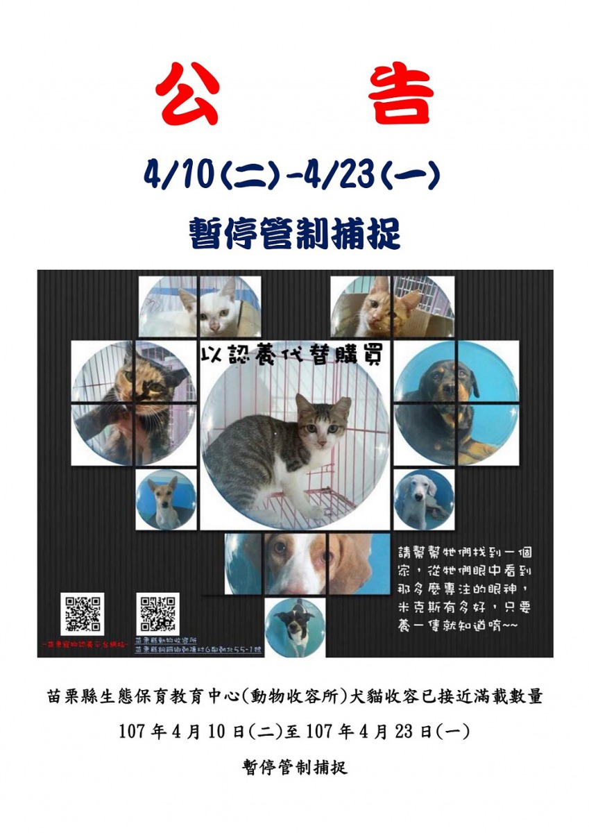 為了減少收容壓力，苗栗縣首次執行暫停管制捕捉。 苗栗動保所/提供