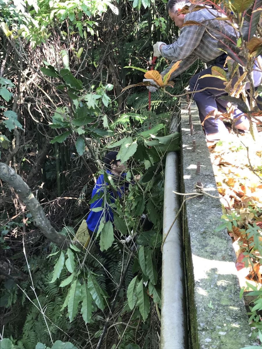 動保員利用繩索將犬隻拉上圍牆。 新北市動保處/提供