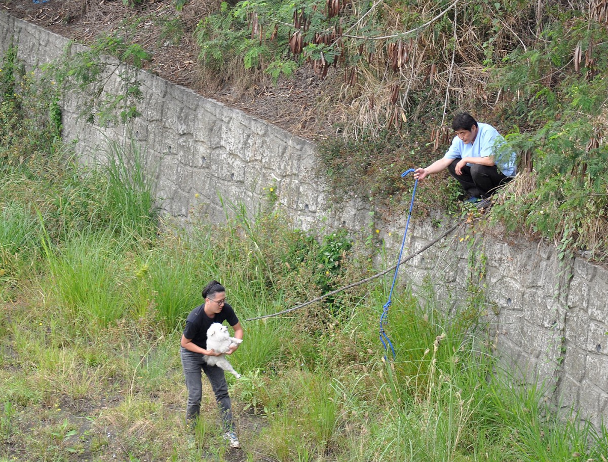 救援人員跳下至河畔將受困的狐狸犬營救上岸。台灣動物緊急救援小組/提供