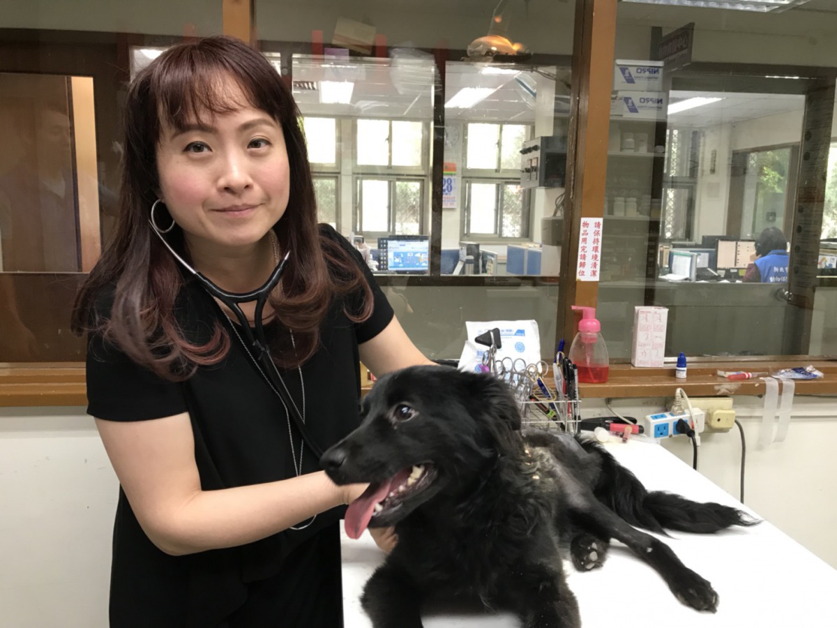負責治療「安妮」的殷書韻獸醫師。  新北市動保處/提供