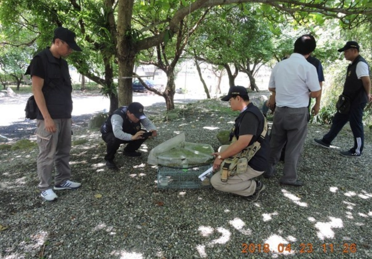 保七員警已將違法飼養台灣畫眉的陳姓男子移送地檢署偵辦。 保七總隊/提供