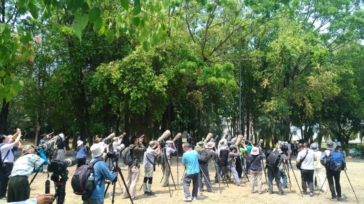 許多攝影愛好者一同在東寧公園拍攝赤翡翠。 黃蜀婷/提供