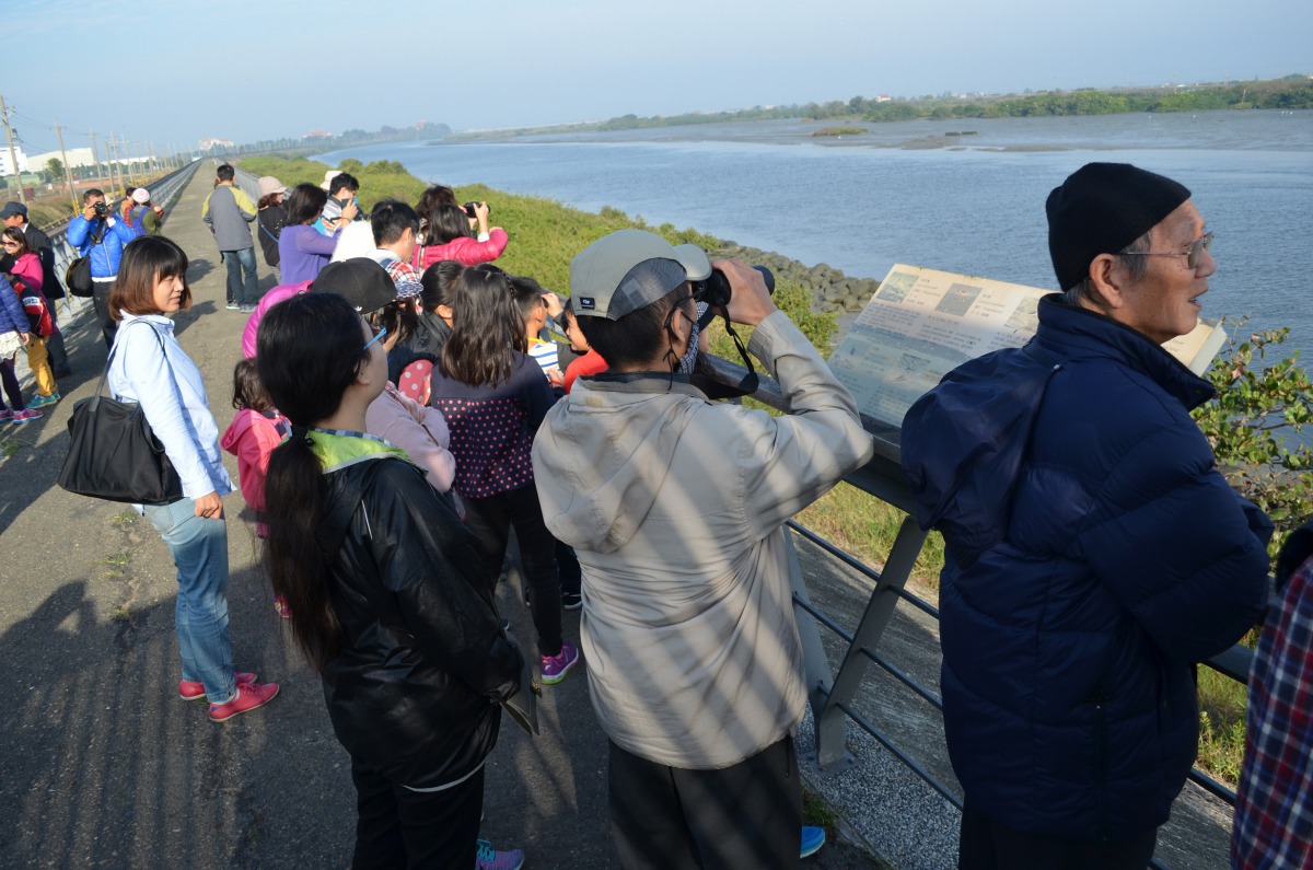 參加民眾於學甲溼地生態園區觀察生態環境。 邱仁武/提供