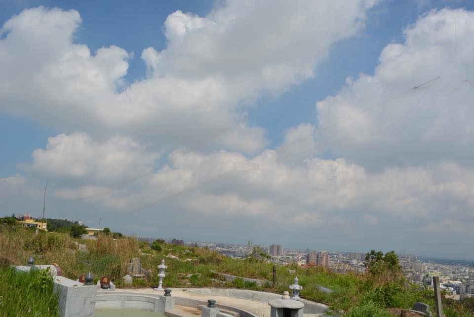 長約300公尺的大型鳥網。 翻攝自議員賴岸璋臉書