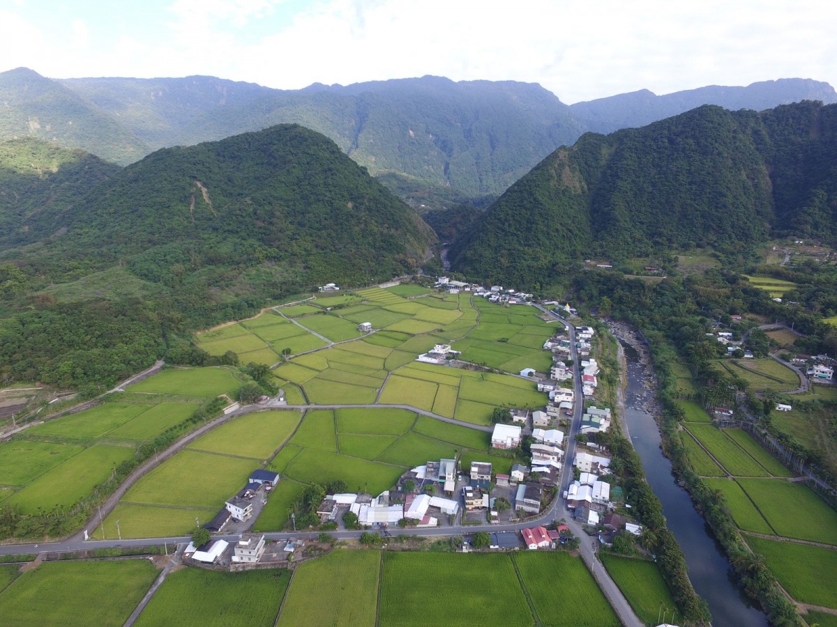 豐南村進20公頃的梯田相當壯觀。 花蓮林管處/提供