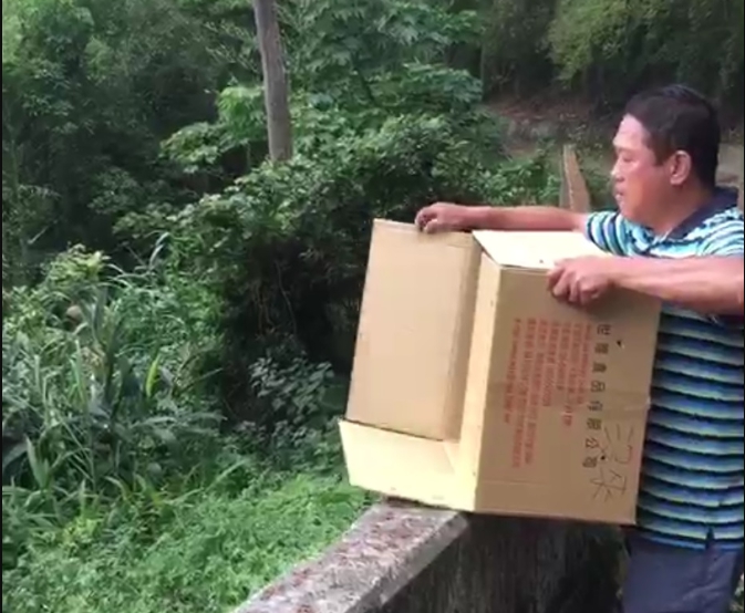 農業處自然生態保育科人員帶大冠鷲到山區進行野放。 苗栗農業處/提供