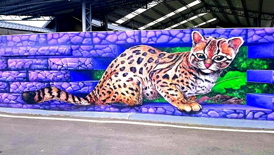 台中后里區將作為石虎保育示範區，圖為后里的石虎3D彩繪。 台中市農業局/提供