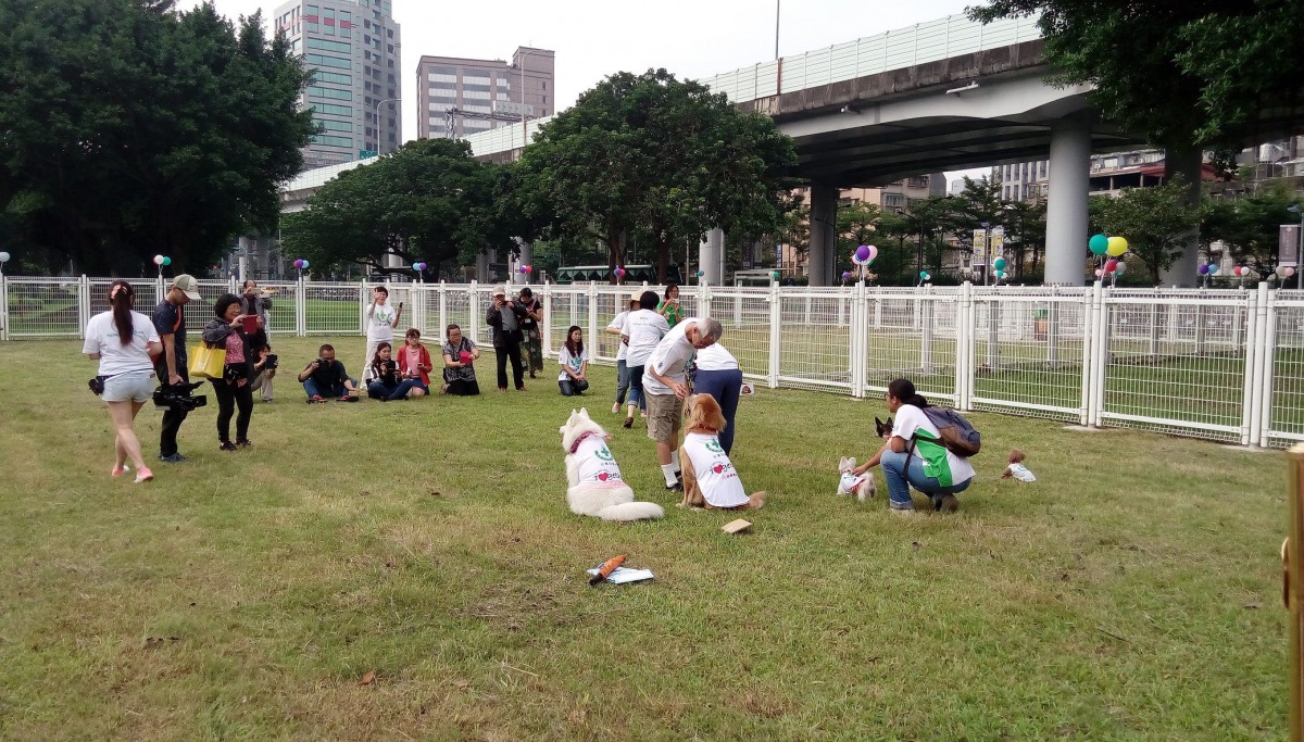 在潭美毛寶貝公園大型犬區暫停開放期間可以帶愛犬到其他狗狗運動公園活動，圖為華山公園狗活動區。 取自/台北市動保處網站
