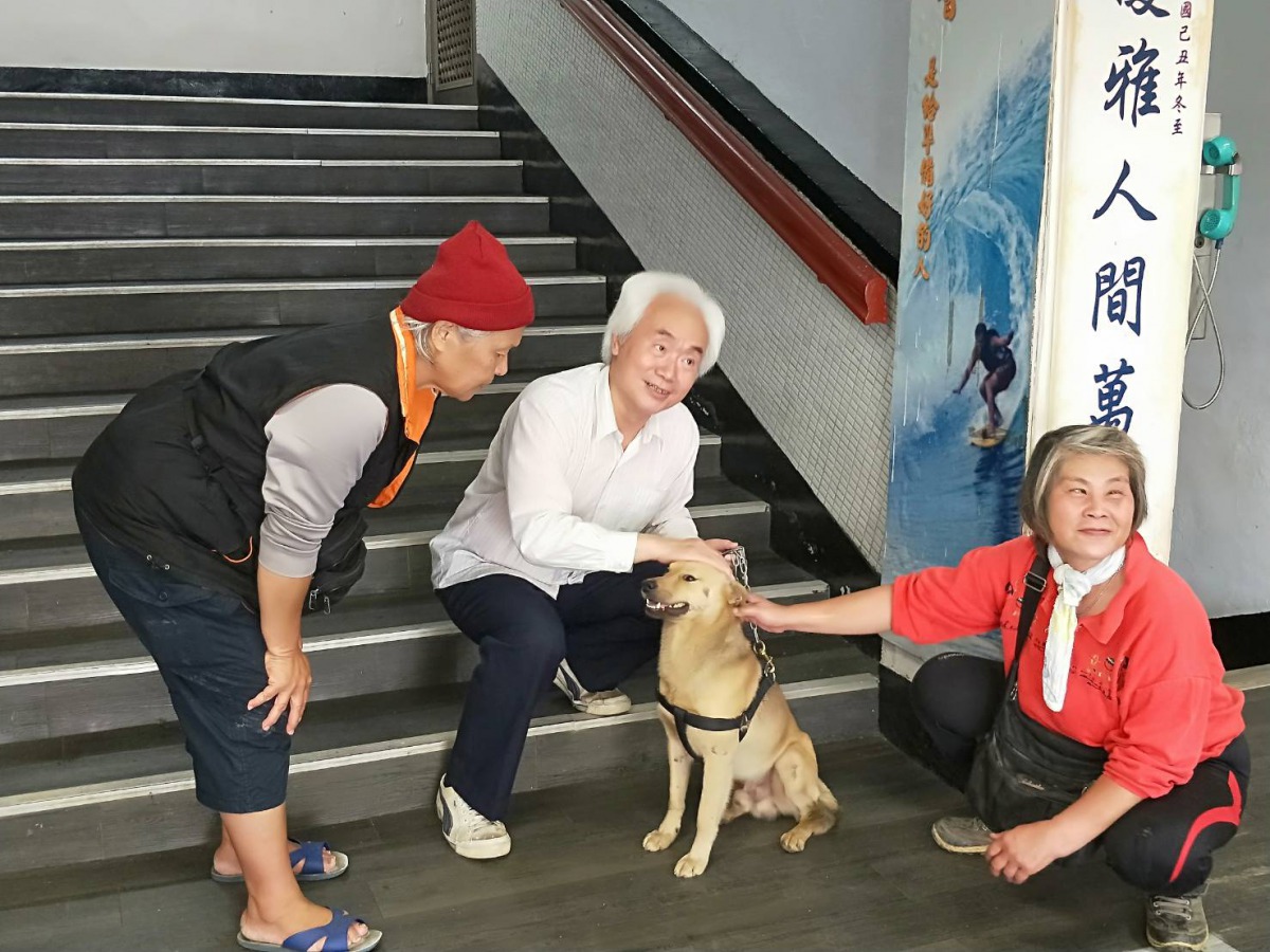 「小黃」平時都會定時出去繞山巡邏，甚至會護送重建中心裡的人出去搭車。 新北市動保處/提供