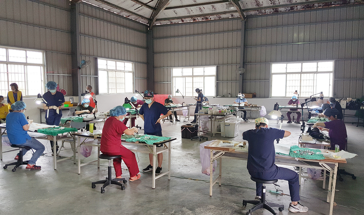 中興大學浪浪團隊11年來積極到台中偏鄉地區在臨時搭建的手術室執行犬貓絕育手術。 中興大學/提供