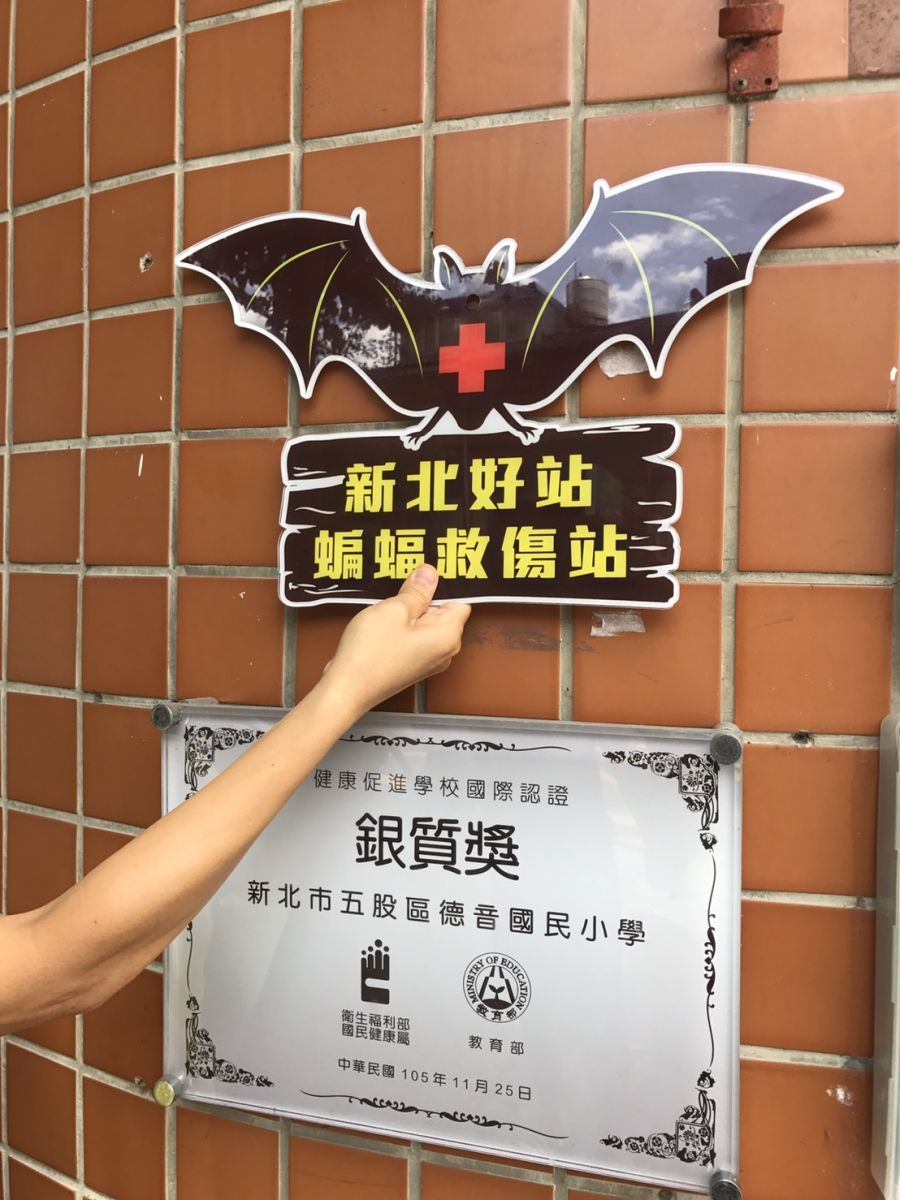新北市動保處在學校設立蝙蝠救傷站，提供民眾蝙蝠救援及諮詢。 新北市動保處/提供