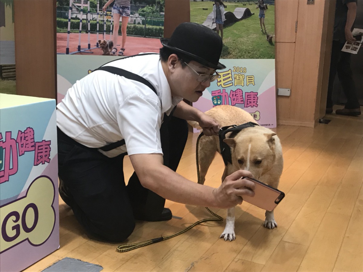 參加「毛寶貝去七逃」活動的民眾要帶著毛寶貝出去玩並且自拍打卡。 姚崇仁/攝