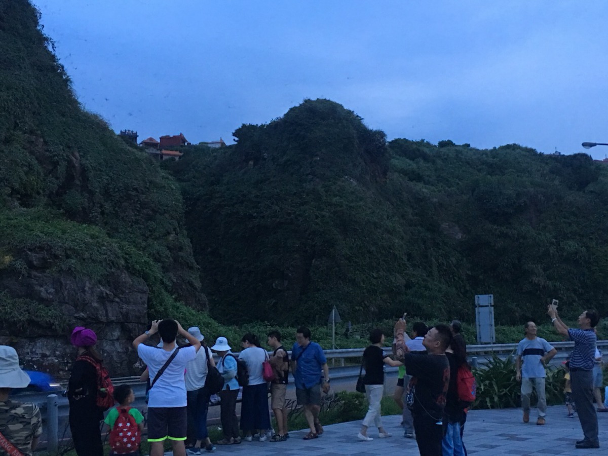 每到傍晚就會有不少民眾聚集搶拍蝙蝠出洞畫面。 瑞芳區公所/提供