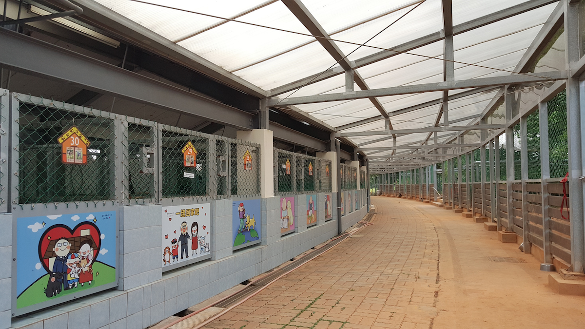 台中市動物之家在通風、採光、空間下不少功夫。 台中市動保處/提供