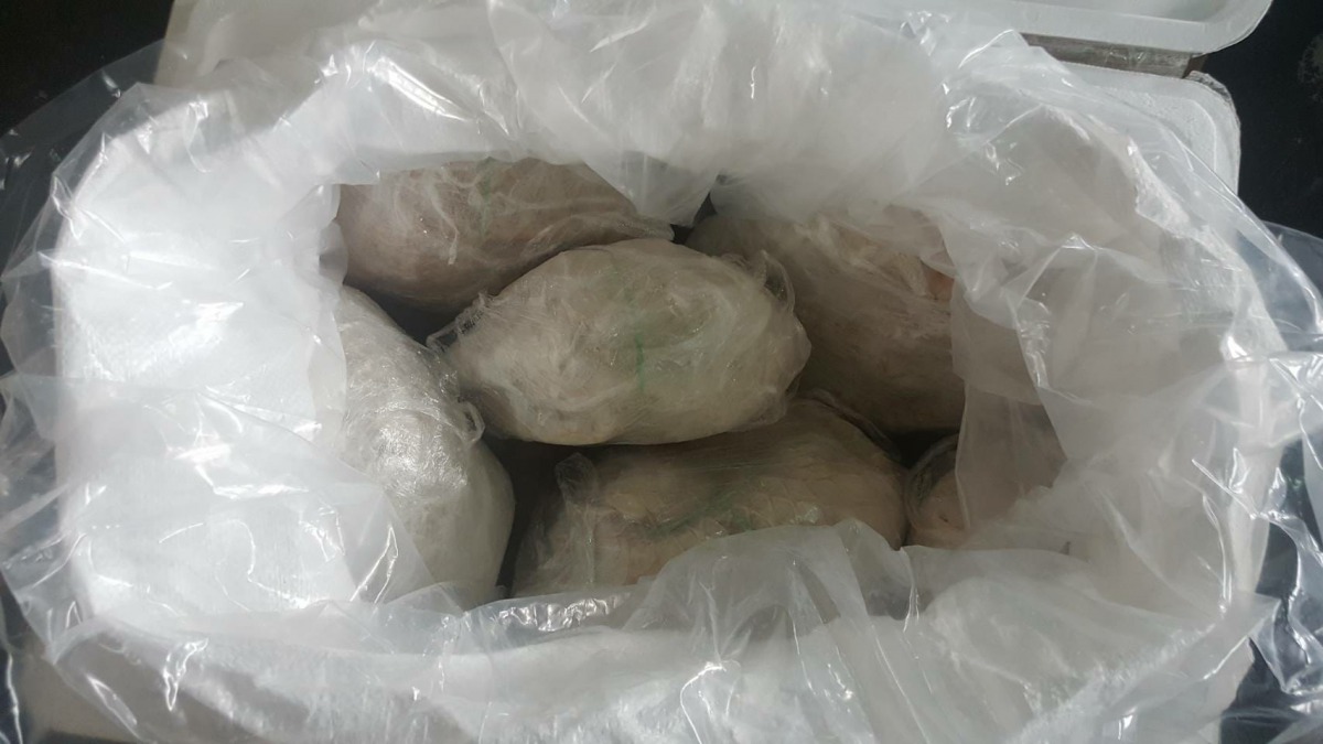 今年1月底高雄海關查獲史上最大宗穿山甲走私事件。 台灣動物新聞網資料照片 高雄關/提供