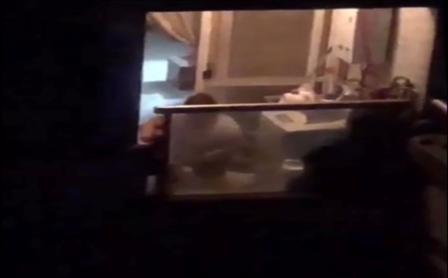 附近住戶將楊姓飼主打罵臘腸犬的樣子拍下來向動保處檢舉。 新北市動保處/提供