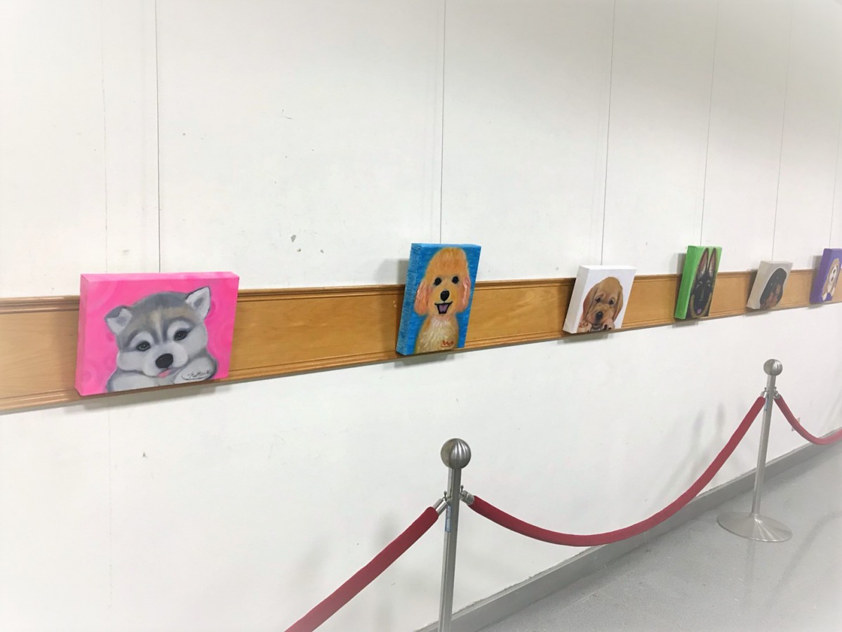 「台北展汪」畫展中有懸掛較低的狗狗畫作，讓小朋友可以輕鬆觀賞。 姚崇仁/攝