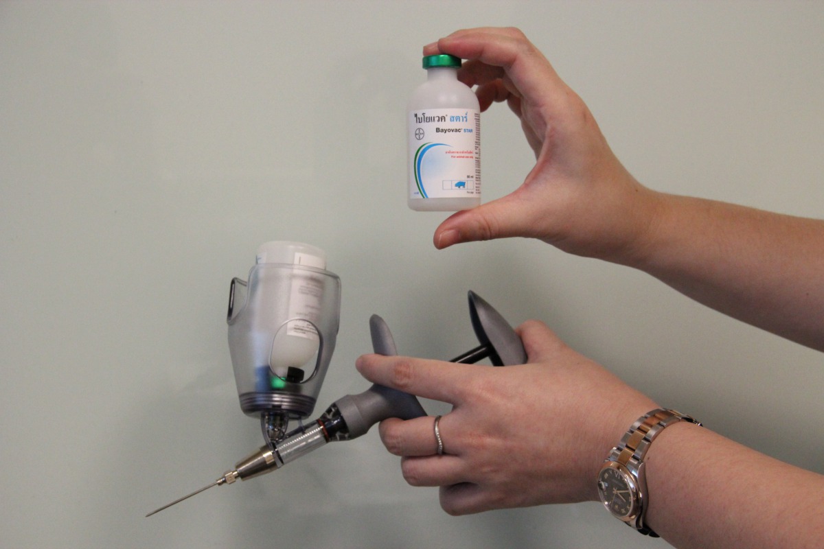 施打「次單位豬萎縮性鼻炎疫苗」可以避免豬隻染病還可以降低豬農成本。 業者/提供