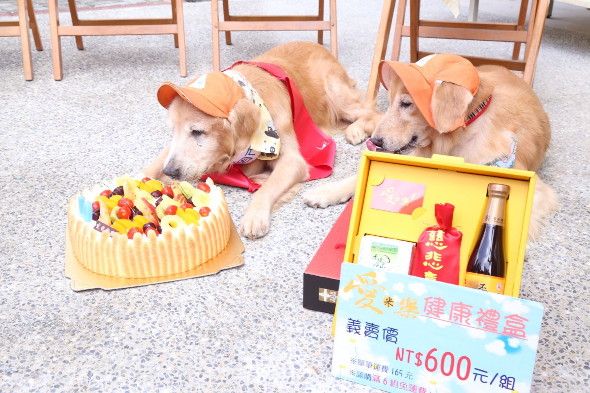 慶祝「罔市」10歲生日，安道基金會特別準備了蛋糕。 嘉義縣政府/提供