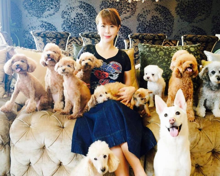 彩石珠寶公司董事長蘇怡長期關心流浪動物,本身領養多隻流浪犬。 彩石珠寶/提供