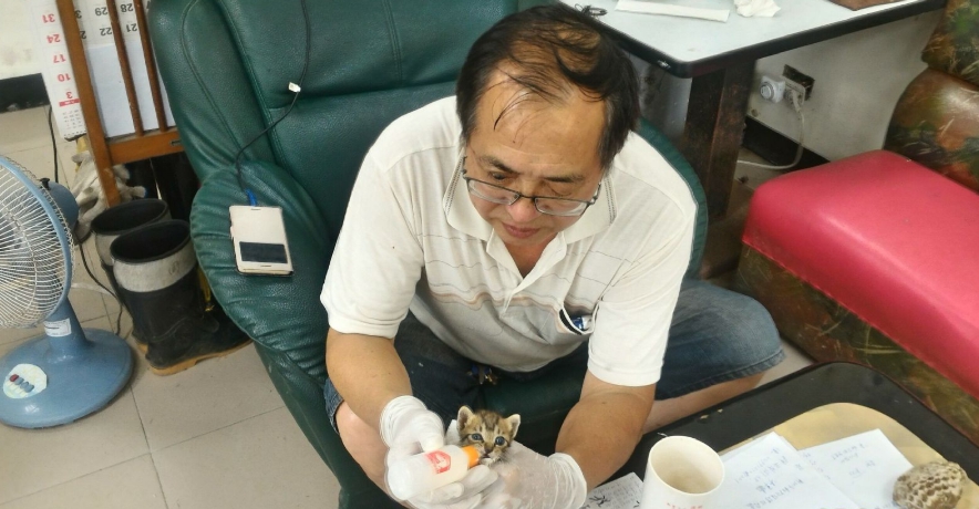 動保員餵食幼貓專用奶粉。 新北市動保處/提供