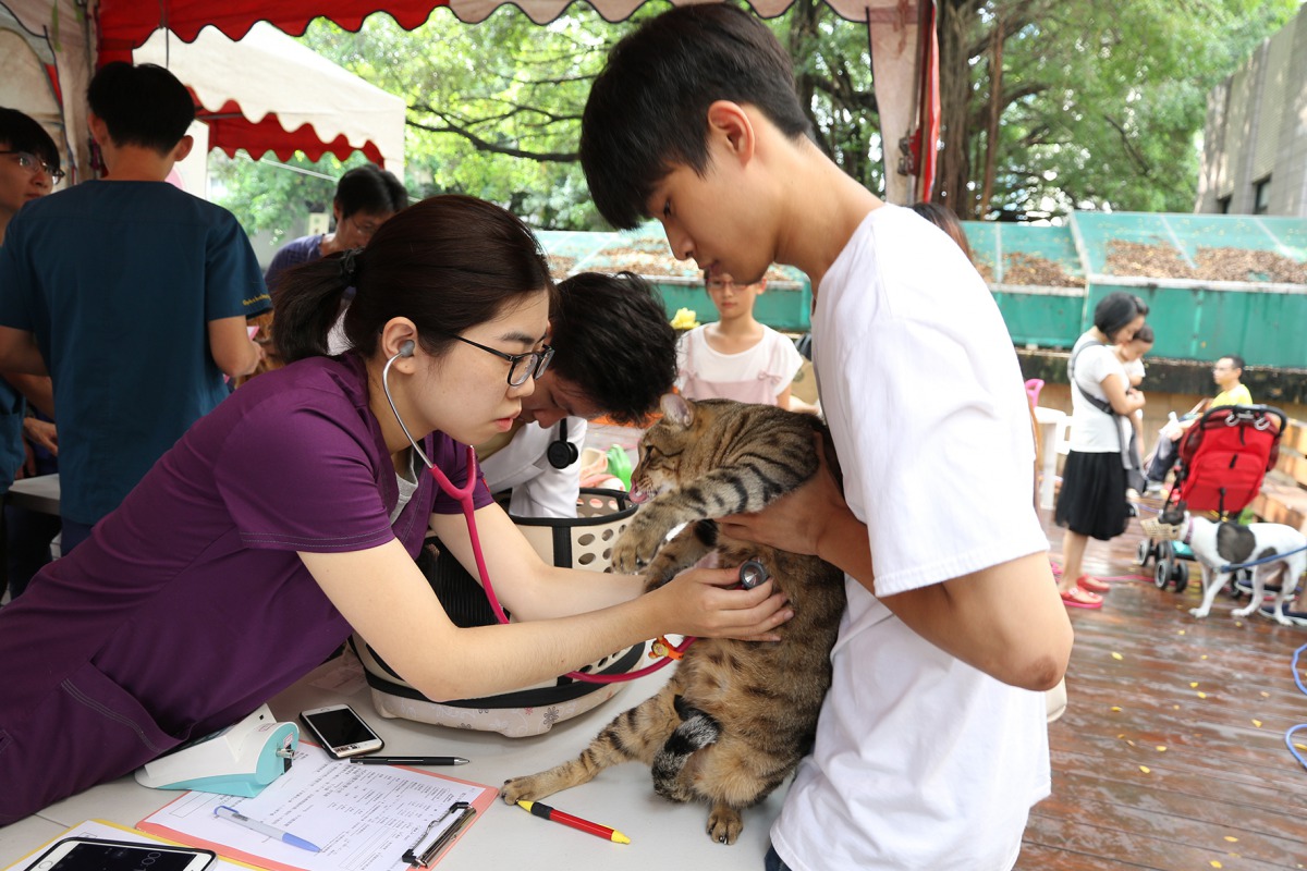 中興大學獸醫學院幫民眾犬貓進行義診。 中興大學/提供