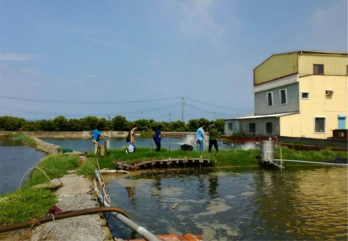 獸醫系實習生到水產養殖戶協助進行防疫及檢驗工作。 高雄市動保處/提供