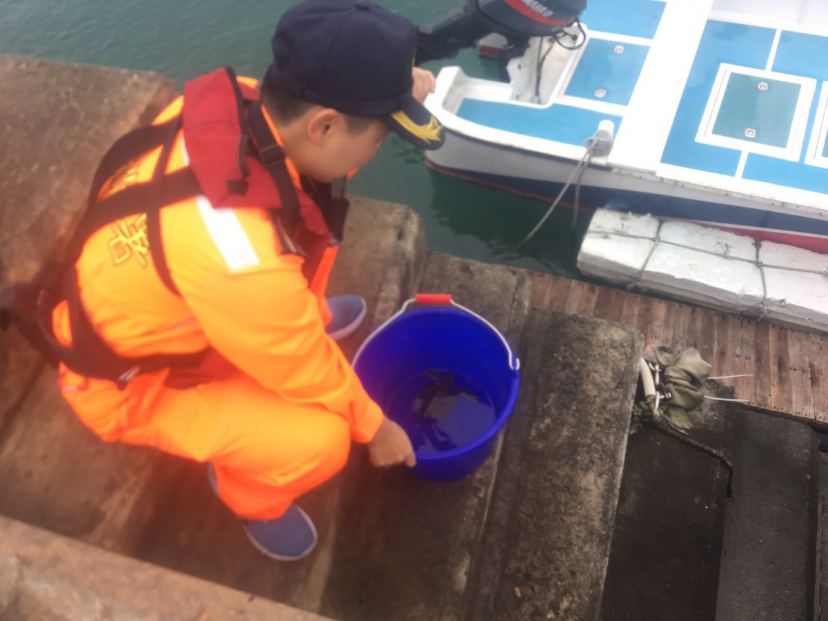 西衛安檢所官兵將漂浮的小海龜打撈上岸。 岸巡七總隊/提供