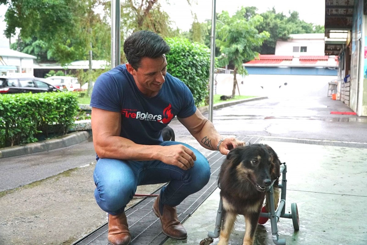David Raciti與板橋動物之家公關犬「小乖」。 新北市動保處/提供