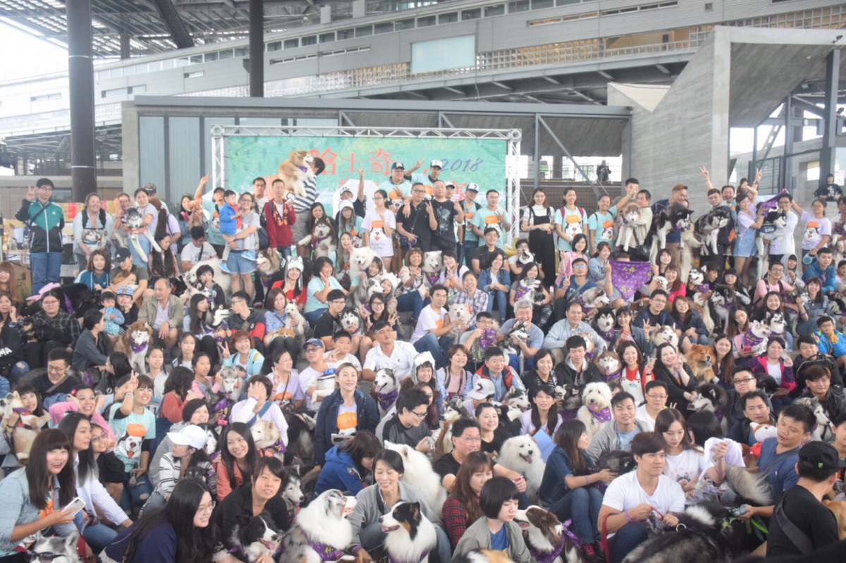 第六屆雪橇大賽吸引500位民眾帶著200多隻毛小孩前來參加。 姚崇仁/攝