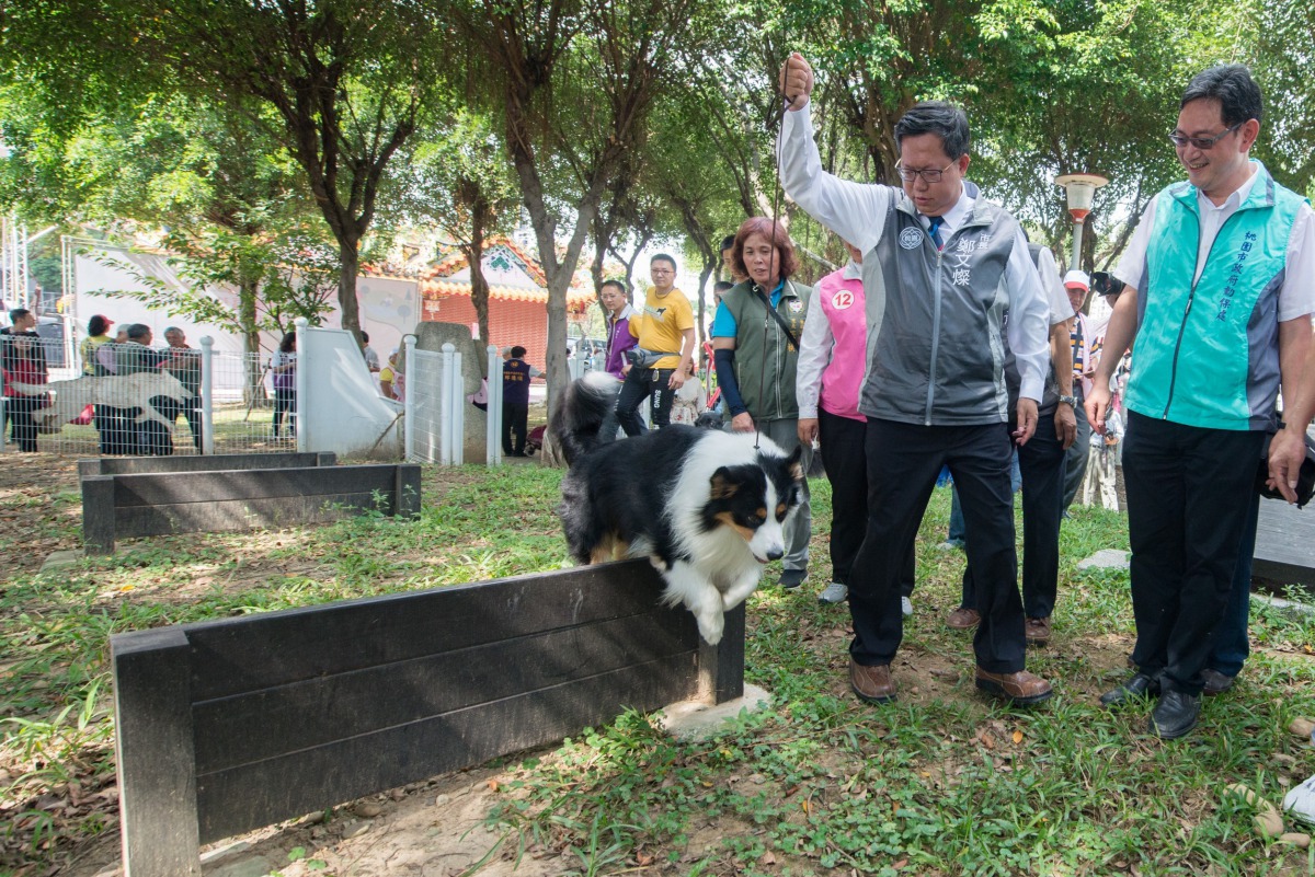 桃園市長帶毛小孩體驗公園內的跨欄設施。 桃園市政府/提供
