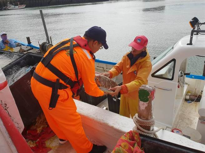 金門岸巡隊接手漁民所發現的綠蠵龜。 金門岸巡隊/提供