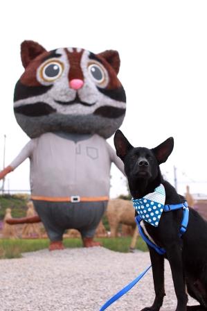 台中動物之家的「萌萌」與花博石虎吉祥物「虎爸」。 台中市動保處/提供